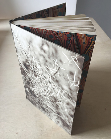 Artbook, Raizeiro Fluído. comissioned to Joaquim Paiva 's collection