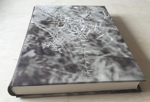 Artbook, Raizeiro Fluído. comissioned to Joaquim Paiva 's collection