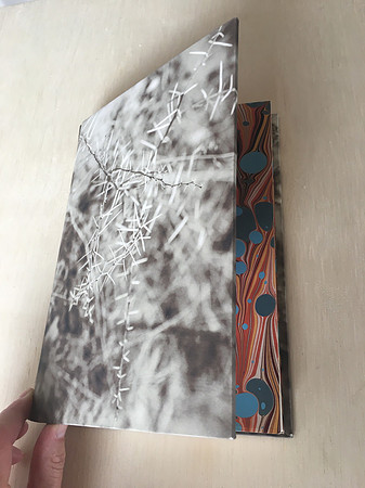 Artbook, Raizeiro Fluído. comissioned to Joaquim Paiva 's collection