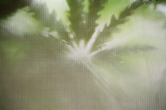 série "Elas no Caminho nº3", exposição individual em 06|2008 no Espaço Cultural Tote, Campinas SP